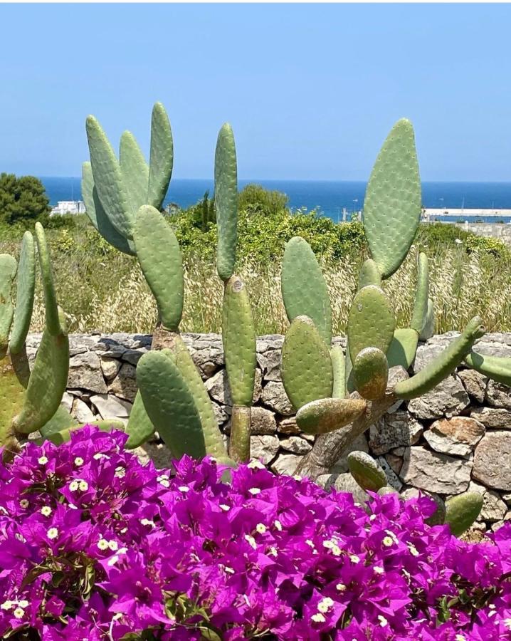 Corallo Otranto Bagian luar foto